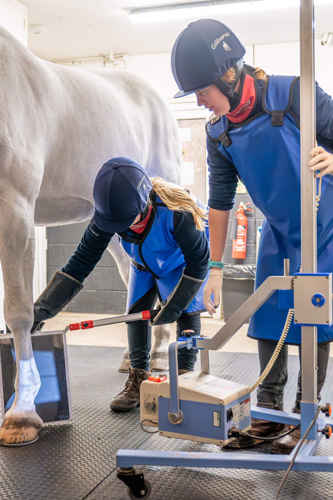 Two people in blue aprons and helmets operate an X-ray machine on a horses leg in a clinic. One person adjusts the machine while the other positions the horses hoof. The setting is bright, with veterinary equipment visible.